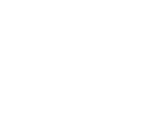 Футбольная школа О. И. Романцева